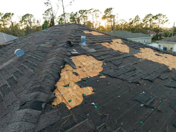 Best Asphalt Shingle Roofing  in Toquerville, UT